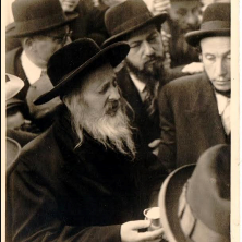 TORAH JEWS