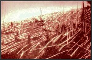 disastro Tunguska